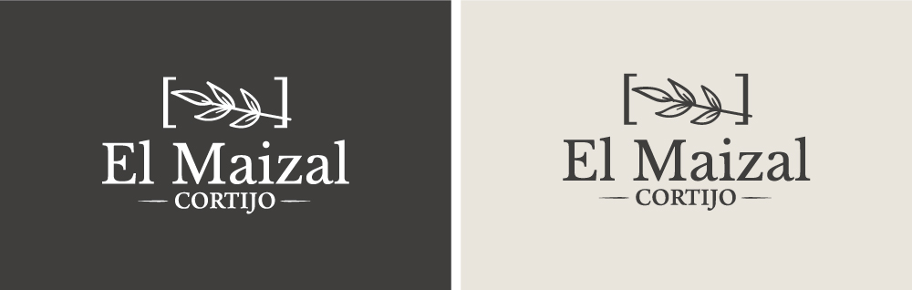 Wit Creativo Agencia de Marketing Digital