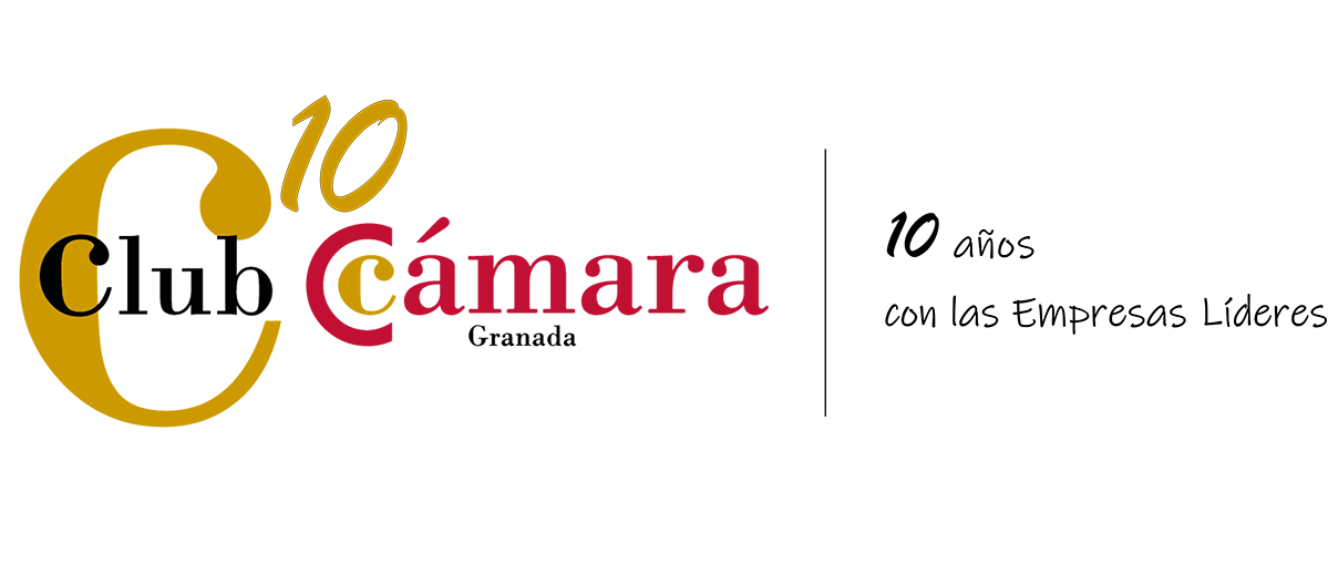 Wit Creativo Agencia de Marketing Digital