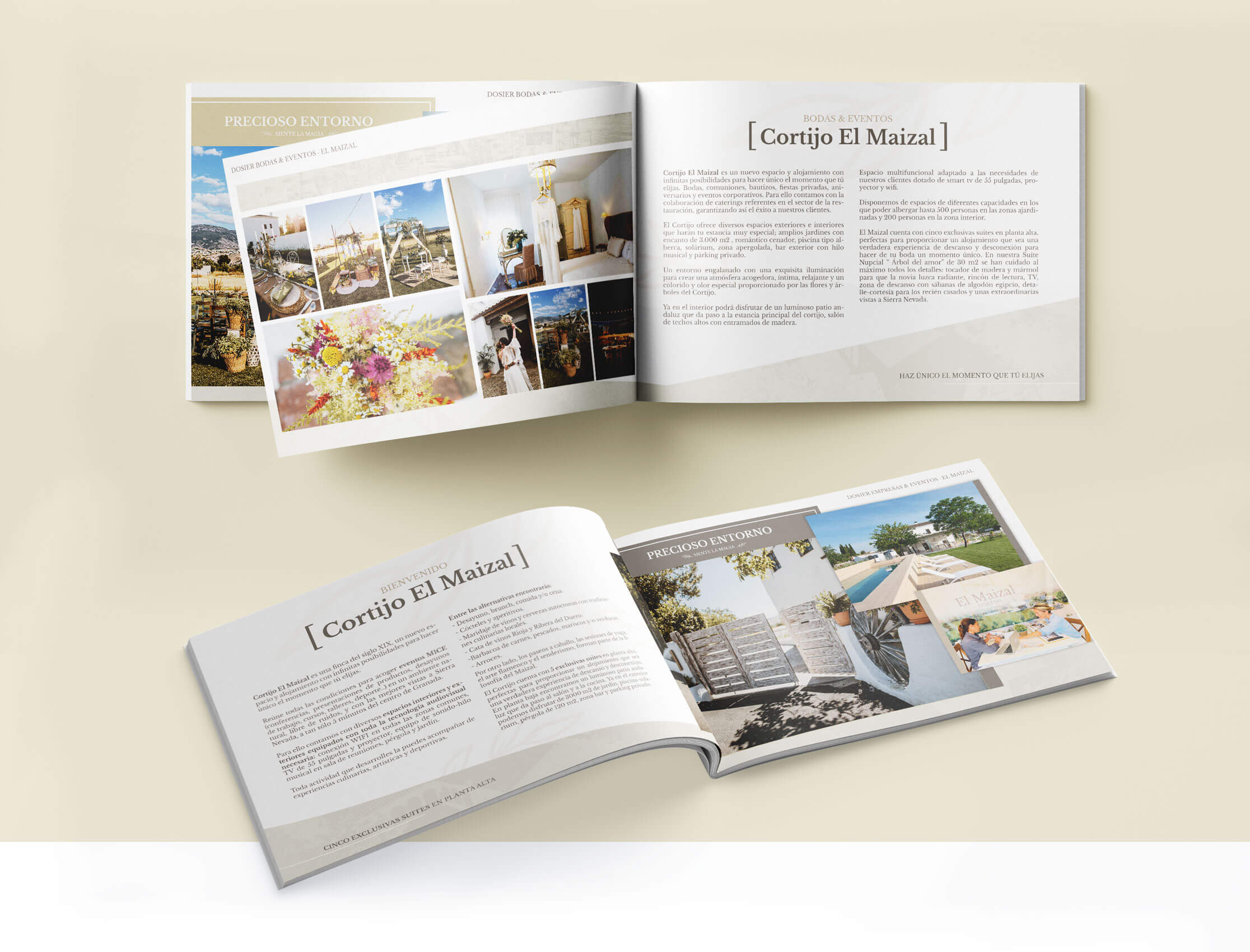 Wit Creativo Agencia de Marketing Digital