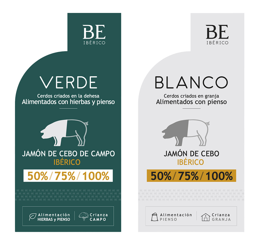 Wit Creativo Agencia de Marketing Digital