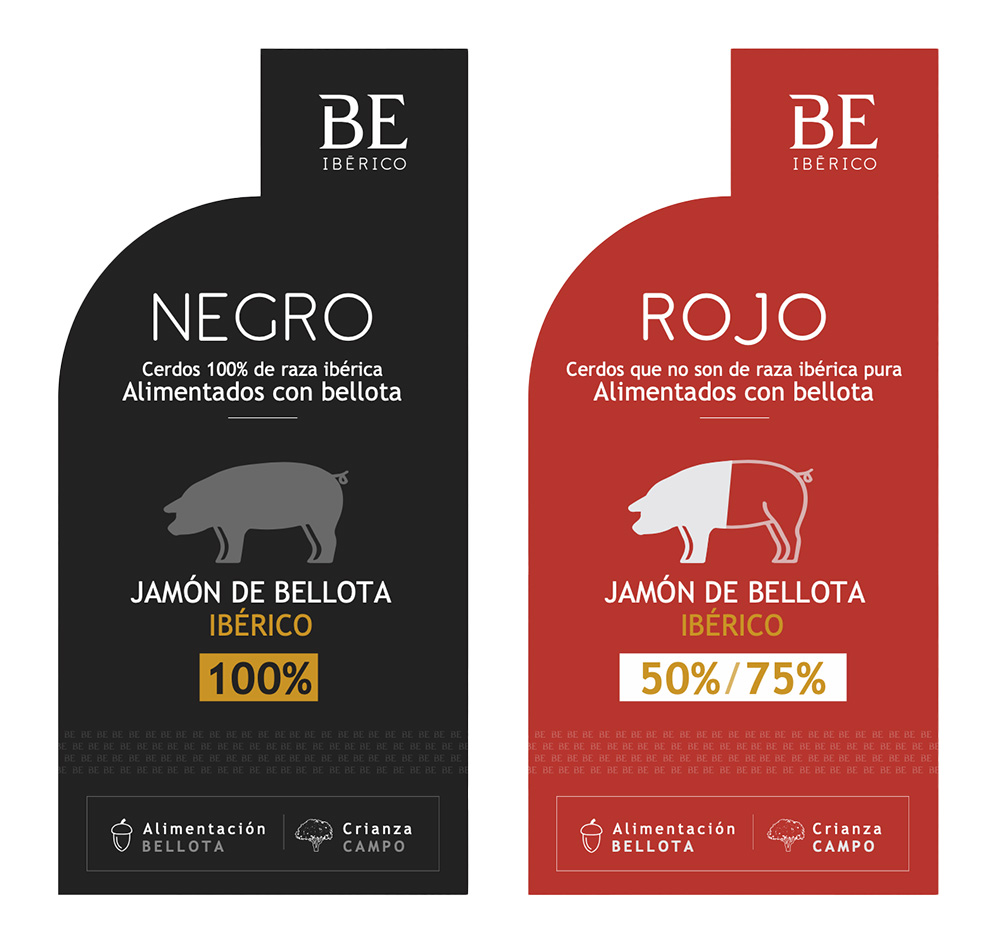 Wit Creativo Agencia de Marketing Digital