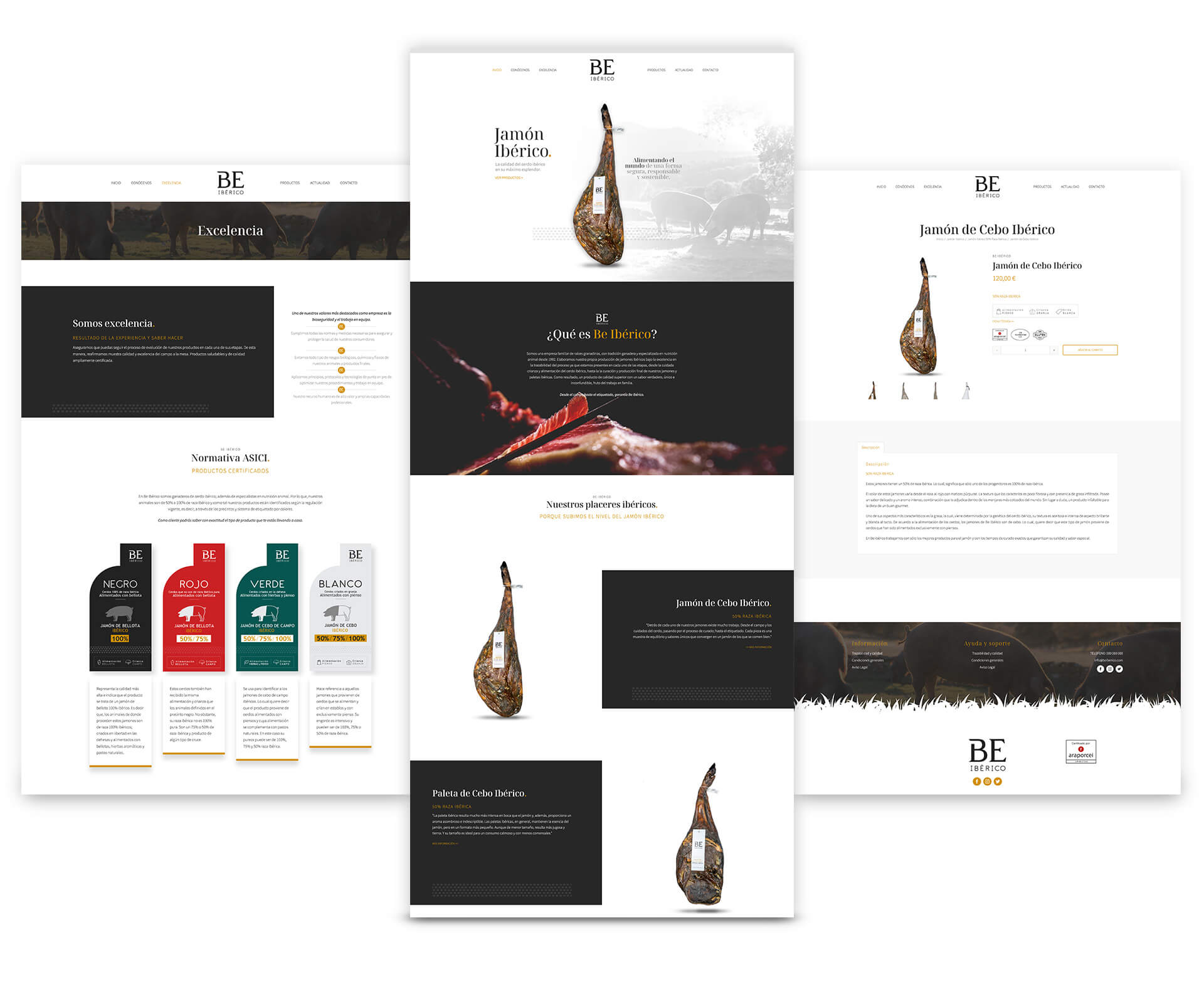 Wit Creativo Agencia de Marketing Digital