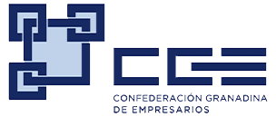 Wit Creativo Agencia de Marketing Digital