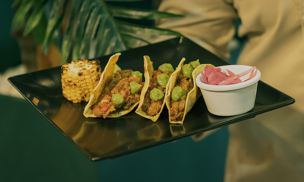 riviera-web-portfolio