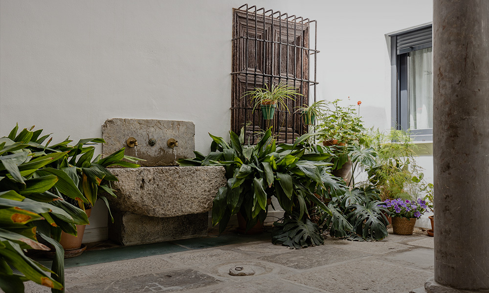 almocita-web-portfolio