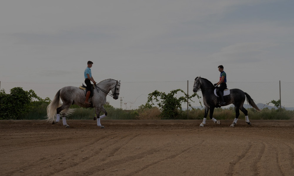 Juan Antonio Ramírez Hípica